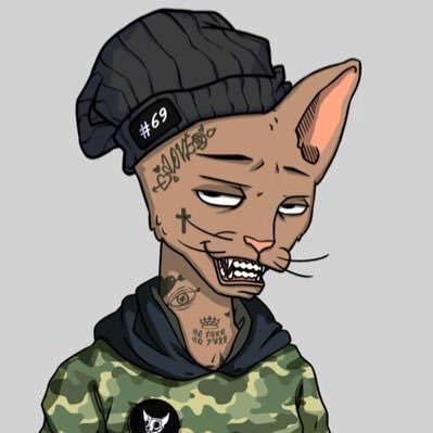 WILSON profile picture