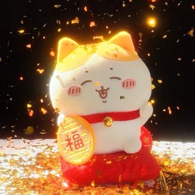 胖大星 profile picture