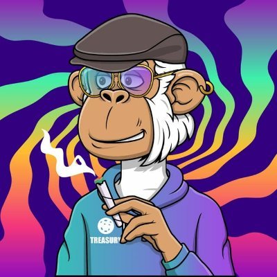 Monkey Treasury profile picture
