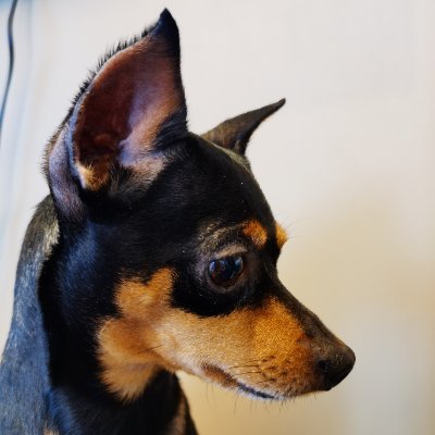 Papa profile picture