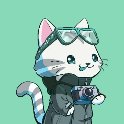 0xLeaf🍃 profile picture