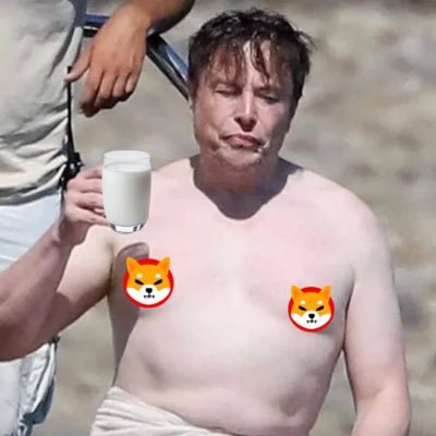 temp.eth profile picture