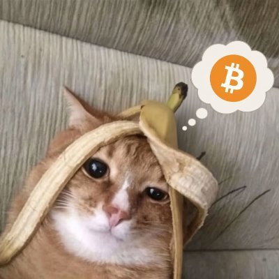 0x31ad.sun profile picture