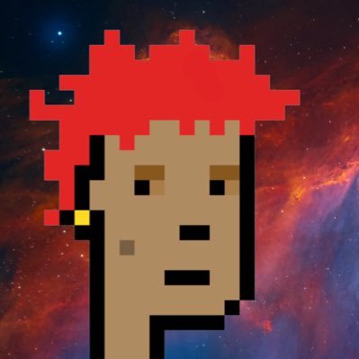 DolphinWhale.eth profile picture