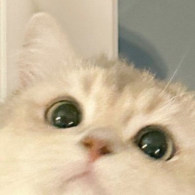 不割杰克猫 profile picture