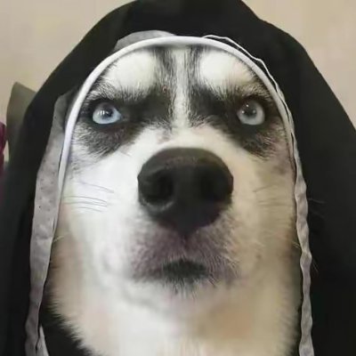 You have to work hard to win profile picture