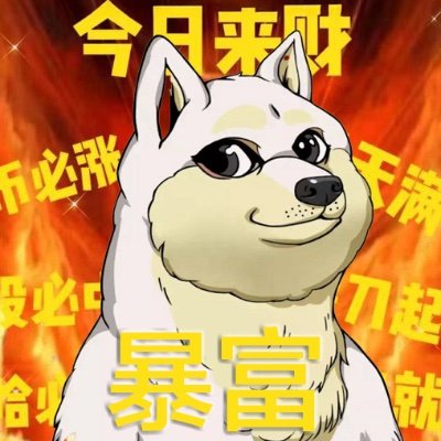 林漫漫 profile picture