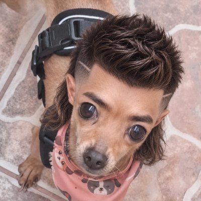 wØlf profile picture