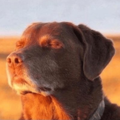 not BusinessWeek profile picture