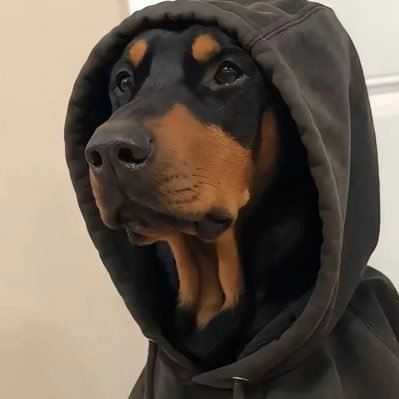 Crypto二狗 profile picture