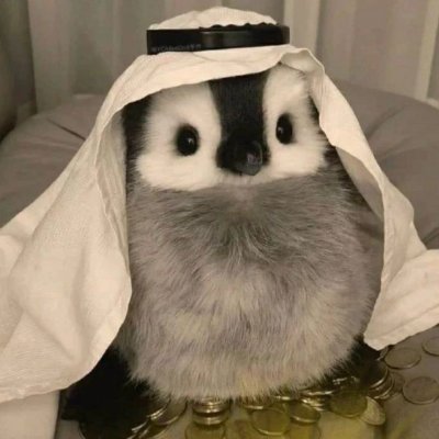 mstzera profile picture