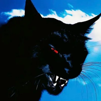Dod profile picture