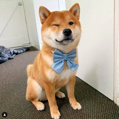 Kasperbit profile picture
