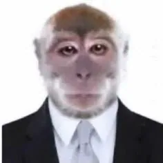 kurtz profile picture