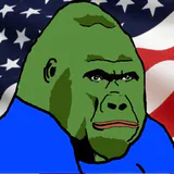 TheDefiApe profile picture