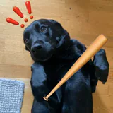 oscar profile picture