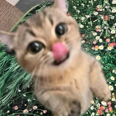 fawi profile picture