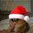 matsu profile picture