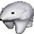 Polar profile picture