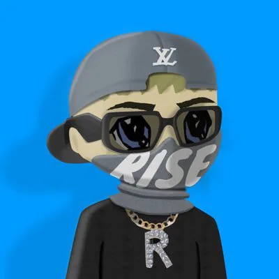 rise_crypt profile picture