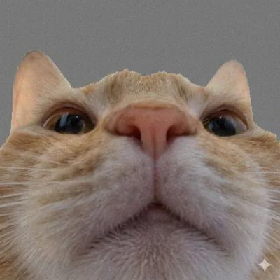 Swan profile picture