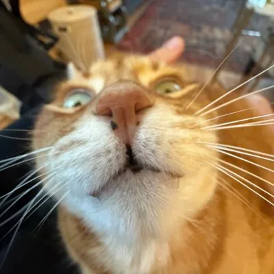 juicyfruity profile picture