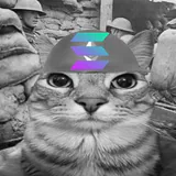 Oura profile picture