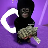 Felix profile picture