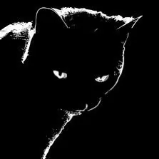 Scrim profile picture