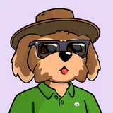 Matt Willemsen profile picture