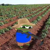 Rice profile picture