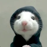 Fizzwick Bramblewhistle profile picture