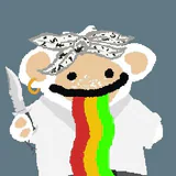 CoCo profile picture