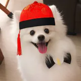 历史 profile picture