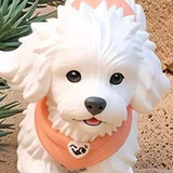 ZC doge profile picture