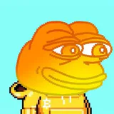 96岁退休炒币 profile picture