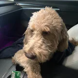 Tim profile picture