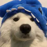 calee profile picture