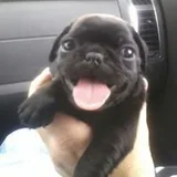 denzaa profile picture
