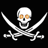 crypto pirate profile picture