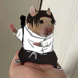 Levan profile picture