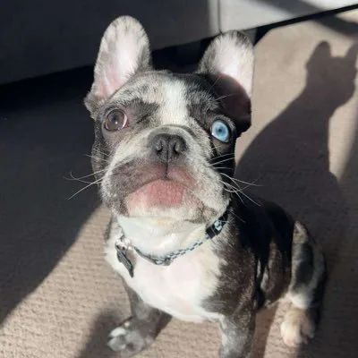 ItsVine profile picture
